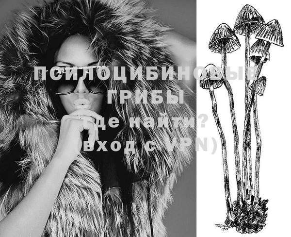 мяу мяу мука Белоозёрский